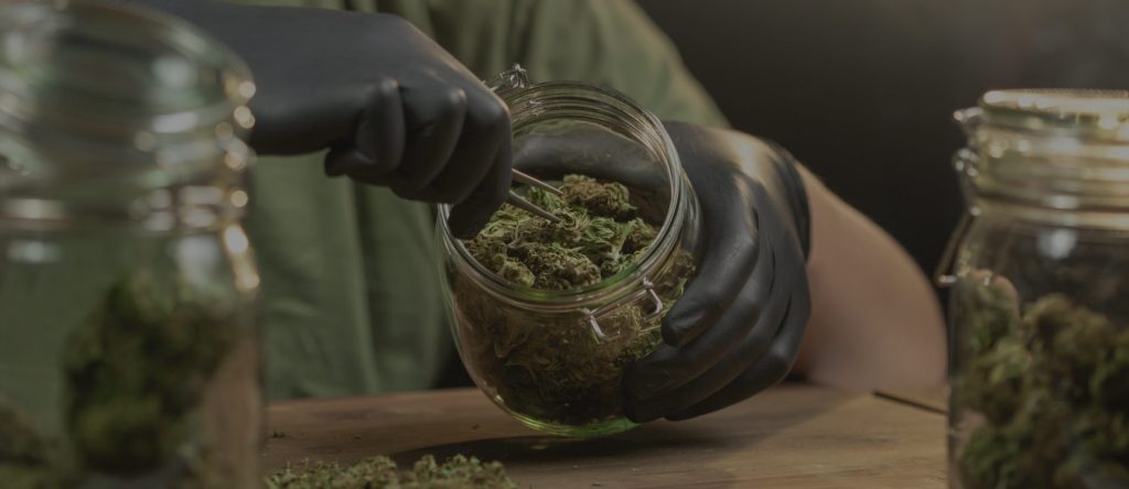 Buy weed online in Greece