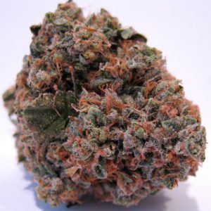 Buy GRAND DADDY PURPLE KUSH Online in Greece,Buy GRAND DADDY PURPLE KUSH Online in Greece,order GRAND DADDY PURPLE KUSH,GRAND DADDY PURPLE KUSH Online in Greece,GRAND DADDY PURPLE KUSH for sale,GRAND DADDY PURPLE KUSH for sale online in Greece,GRAND DADDY PURPLE KUSH for sale near me,GRAND DADDY PURPLE KUSH for sale online near me