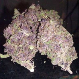 Buy Purple Haze Online in Greece